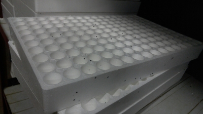 Производство кассет из вспененного пенополистирола (ESP) 